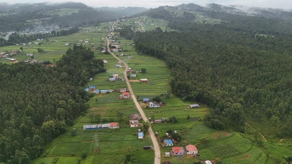 TPLF Restores Leadership — Tensions Surge in Ethiopia’s Tigray