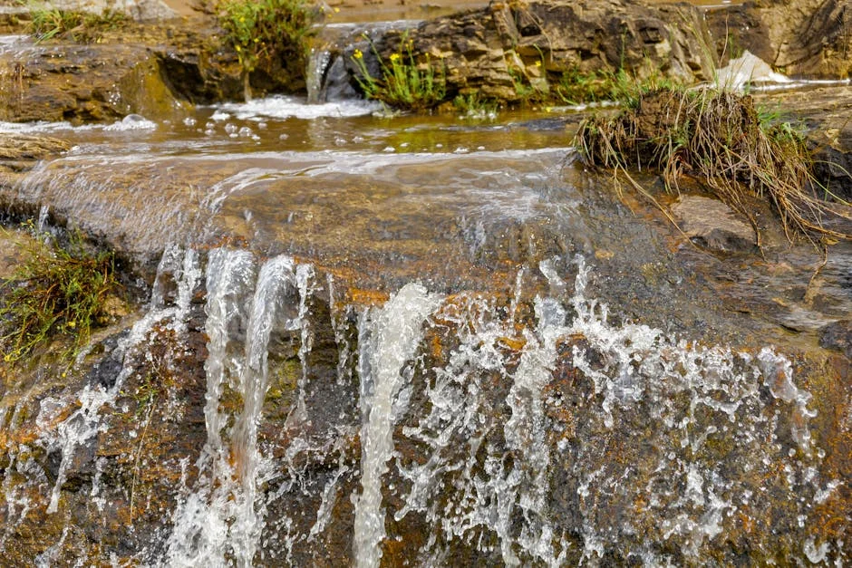 Tshwane Mayor Accused of Enabling Water Mafia