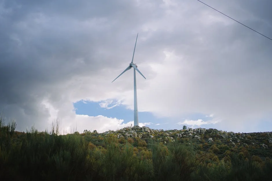 TSMC Bets Big on Wind Power as Taiwan’s Energy Grid Strains — Agriculture Food