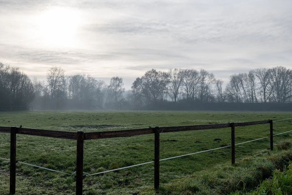 Weather Service Warns: Morning Fog Triggers Travel Chaos — Sports