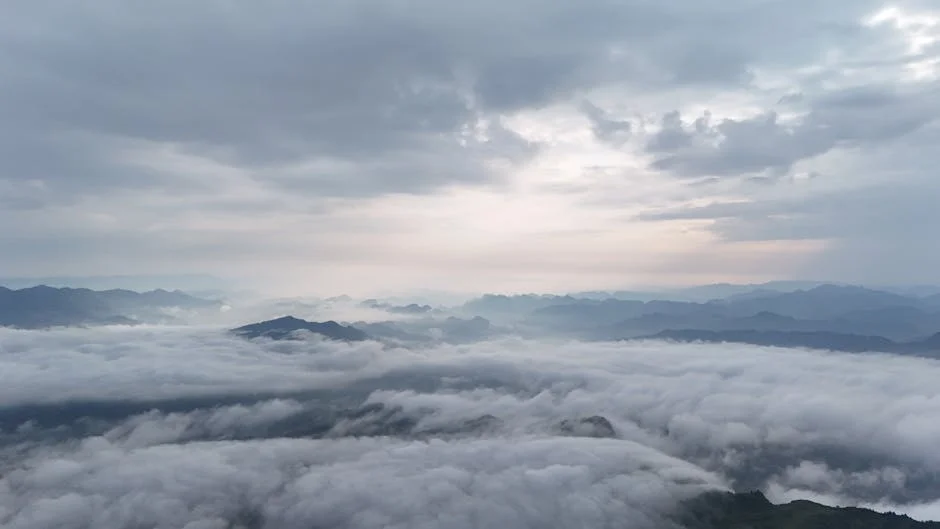 Weather Service Warns of Dazzling Fog Risks Across US East Coast — Infrastructure Cities