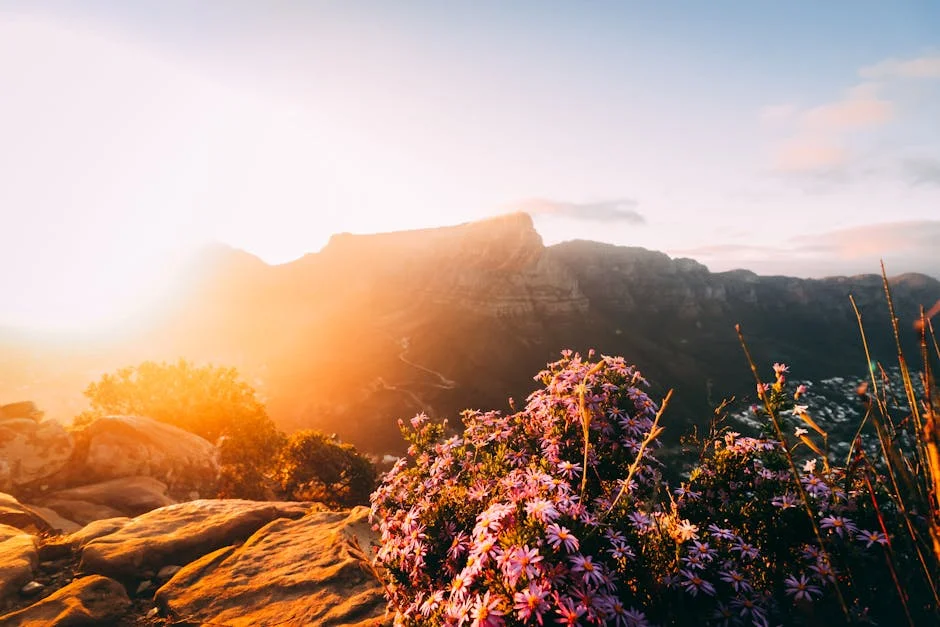Western Cape Faces Isolated Rain Today — Interior Remains Dry and Cold