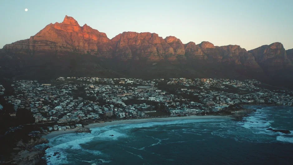 South Africa News 24
